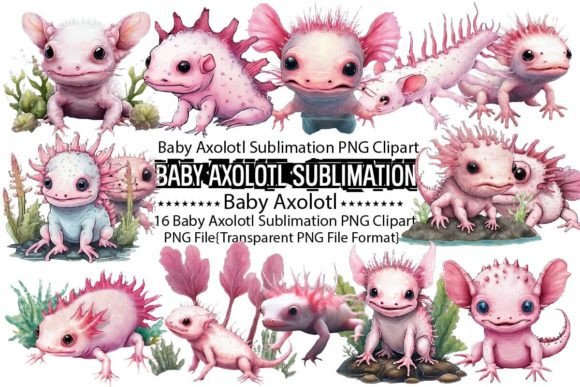 Baby Axolotl Sublimation Bundle Review