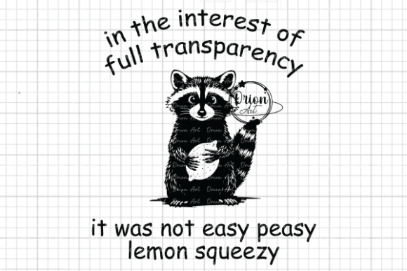 Funny Sarcastic Racoon Graphics for Crafts